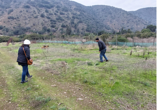 Agrícola Orgánica Sewell Ltda 